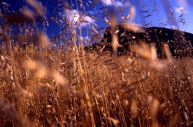 DIAPOSITIVE fotografie di Giulio Azzarello ©1996 2021.