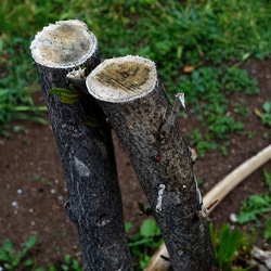 TRONCHI. Fotografie di Giulio Azzarello ©2022.