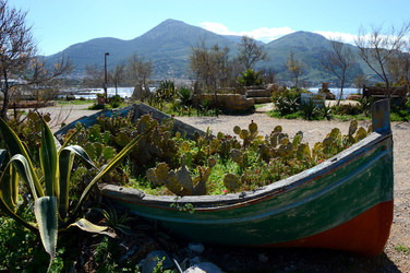 CAPO GALLO riserva marina e naturalistica a Palermo panoramiche e particolari. Fotografie di Giulio Azzarello ©2014. CAPO GALLO riserva marina e naturalistica a Palermo panoramiche e particolari. Fotografie di Giulio Azzarello ©2014.