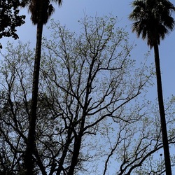 ORTO BOTANICO. Fotografie di Giulio Azzarello &copy;2024.
