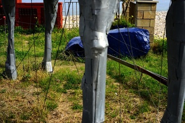 FIUMARA D ARTE Tusa. Fotografie di Giulio Azzarello &copy;2022.