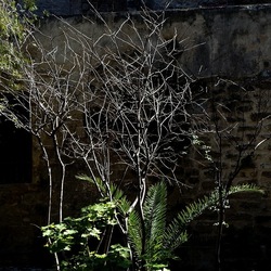 Arabo Normanno. Fotografie di Giulio Azzarello ©2024. Arabo Normanno. Fotografie di Giulio Azzarello ©2024.