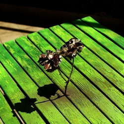 METALLICO. Fotografia di Giulio Azzarello &copy;2023.