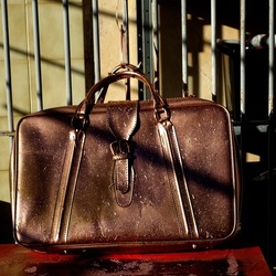 NATURE MORTE. Fotografie di Giulio Azzarello ©2024. NATURE MORTE. Fotografie di Giulio Azzarello ©2024.