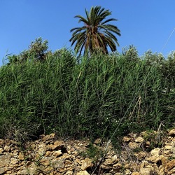 SELINUNTE. Fotografie di Giulio Azzarello ©2022. SELINUNTE. Fotografie di Giulio Azzarello ©2022.