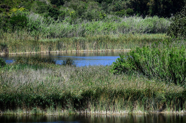 GORGHI TONDI oasi verde a Mazzara del Vallo in Sicilia. Fotografie di Giulio Azzarello ©2016. GORGHI TONDI oasi verde a Mazzara del Vallo in Sicilia. Fotografie di Giulio Azzarello ©2016.