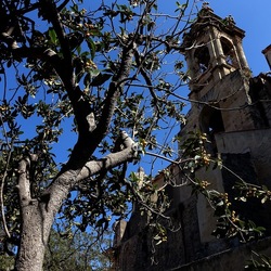 Arabo Normanno. Fotografie di Giulio Azzarello ©2024. Arabo Normanno. Fotografie di Giulio Azzarello ©2024.