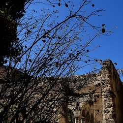 Arabo Normanno. Fotografie di Giulio Azzarello ©2024. Arabo Normanno. Fotografie di Giulio Azzarello ©2024.