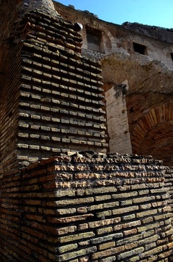 COLOSSEO Roma. Fotografie di Giulio Azzarello ©2020. COLOSSEO Roma. Fotografie di Giulio Azzarello ©2020.