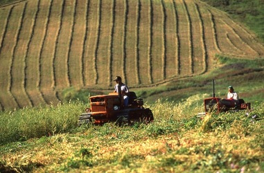 SICILIA diapositive. Fotografie di Giulio Azzarello &copy;1996 2021.