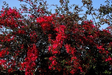 MONDELLO. Fotografie di Giulio Azzarello &copy;2023.