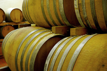 BOTTI per il vino. Fotografie di Giulio Azzarello ©2016. BOTTI per il vino. Fotografie di Giulio Azzarello ©2016.