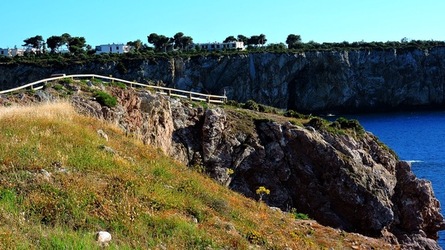 CAPO RAMA riserva naturale Terrasini. Fotografie di Giulio Azzarello &copy;2020.