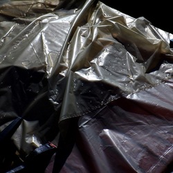 AUTUNNO fotografie di Giulio Azzarello ©2021. AUTUNNO fotografie di Giulio Azzarello ©2021.