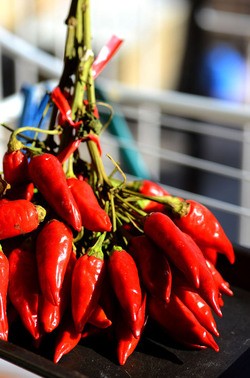 PEPERONCINO fotografie di Giulio Azzarello ©2014. PEPERONCINO fotografie di Giulio Azzarello ©2014.