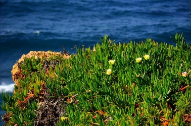 TERRASINI in Sicilia. Fotografie di Giulio Azzarello &copy;2018.