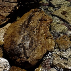 TERRASINI. Fotografie di Giulio Azzarello &copy;2022.