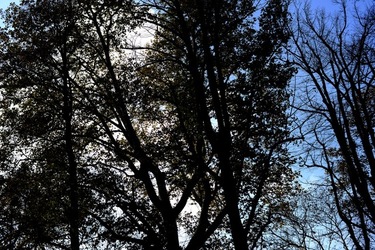 VENEZIA Giardini della Biennale di Arch. Cont.. Fotografie di Giulio Azzarello ©2022.