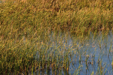 PAESAGGIO SICILIANO nel luogo delle macalube in Sicilia. Fotografie di Giulio Azzarello &copy;2014.