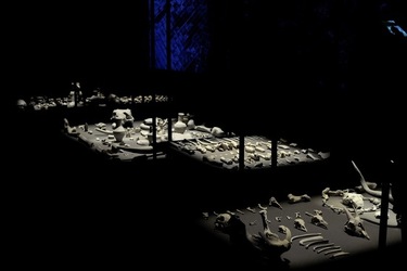 PADIGLIONE AFRICANO Biennale di Venezia. Fotografie di Giulio Azzarello &copy;2020.