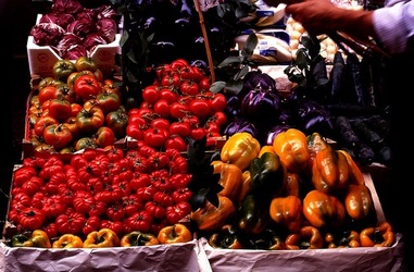 VUCCIRIA anni 90. Fotografie di Giulio Azzarello ©2022.