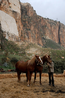 IL PRESEPE VIVENTE DI CUSTONACI in Sicilia. Fotografie di Giulio Azzarello ©2014. IL PRESEPE VIVENTE DI CUSTONACI in Sicilia. Fotografie di Giulio Azzarello ©2014.