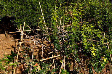 NUVOLE E NATURA fotografie di Giulio Azzarello &copy;2014.