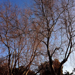 MONDELLO di inverno. Fotografie di Giulio Azzarello &copy;2016.