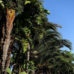 SELINUNTE. Fotografie di Giulio Azzarello ©2022. SELINUNTE. Fotografie di Giulio Azzarello ©2022.