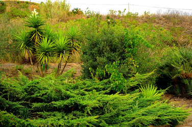CAMPAGNA SICILIANA. Fotografie di Giulio Azzarello &copy;2016.