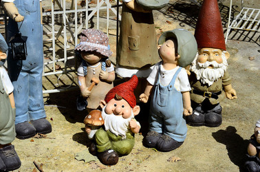 ORTO BOTANICO di Palermo in inverno. Fotografie di Giulio Azzarello &copy;2016.