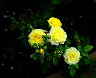 CAMPAGNA SICILIANA. Fotografie di Giulio Azzarello &copy;2016.