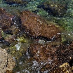 BAIA DEL CORALLO. Fotografie di Giulio Azzarello &copy;2022.