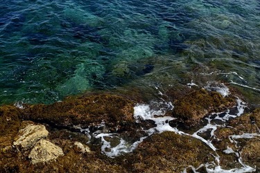 ARENELLA Fotografia di Giulio Azzarello ©2022.