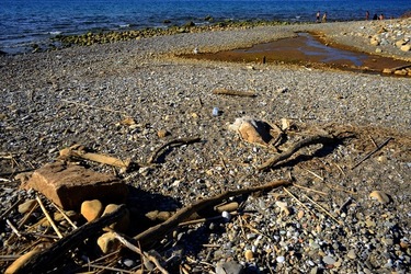 CASTELLO di Campofelice di Roccella. Fotografie di Giulio Azzarello &copy;2020.