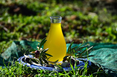 ULIVETO in autunno. Fotografie di Giulio Azzarello ©2014. ULIVETO in autunno. Fotografie di Giulio Azzarello ©2014.