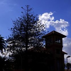 MONDELLO fotografie di Giulio Azzarello ©2021. MONDELLO fotografie di Giulio Azzarello ©2021.