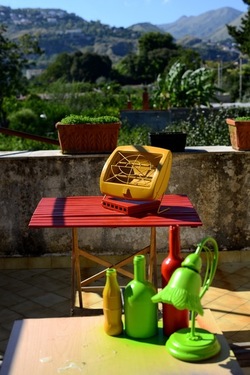 NATURE MORTE DIPINTE fotografie di Giulio Azzarello &copy;2022.