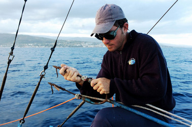 LE FELUCHE di Sicilia fotografie di Giulio Azzarello ©2014. LE FELUCHE di Sicilia fotografie di Giulio Azzarello ©2014.