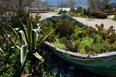 CAPO GALLO riserva marina e naturalistica a Palermo panoramiche e particolari. Fotografie di Giulio Azzarello ©2014. CAPO GALLO riserva marina e naturalistica a Palermo panoramiche e particolari. Fotografie di Giulio Azzarello ©2014.