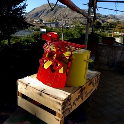 TOAST. Fotografie di Giulio Azzarello &copy;2025.