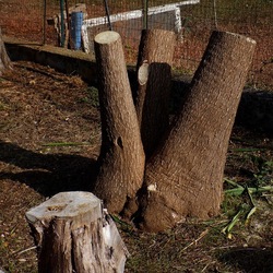 AUTUNNO fotografie di Giulio Azzarello ©2021. AUTUNNO fotografie di Giulio Azzarello ©2021.