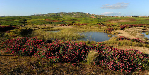 PAESAGGIO SICILIANO nel luogo delle macalube in Sicilia. Fotografie di Giulio Azzarello &copy;2014.