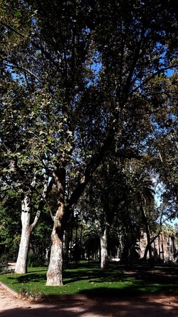 ROMA fotografie di Giulio Azzarello &copy;2022.