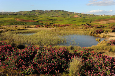 PAESAGGIO SICILIANO nel luogo delle macalube in Sicilia. Fotografie di Giulio Azzarello &copy;2014.