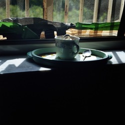 FOTO QUADRATE 6X6. Fotografie di Giulio Azzarello ©2021. FOTO QUADRATE 6X6. Fotografie di Giulio Azzarello ©2021.