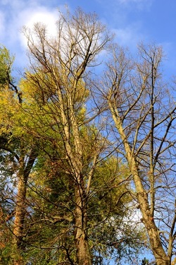 VENEZIA Giardini della Biennale di Arch. Cont.. Fotografie di Giulio Azzarello ©2022.