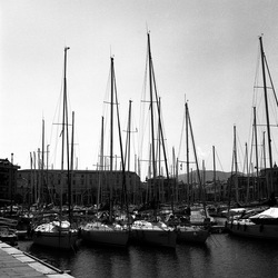 VELA fotografie di Giulio Azzarello ©2021. VELA fotografie di Giulio Azzarello ©2021.