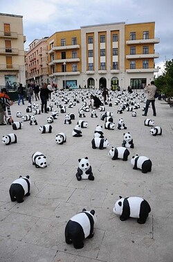 SIRACUSA arte a Ortiggia. Fotografie di Giulio Azzarello &copy;2014.