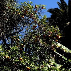 Arabo Normanno. Fotografie di Giulio Azzarello ©2024. Arabo Normanno. Fotografie di Giulio Azzarello ©2024.